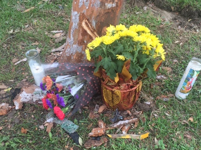 Flowers left on Santa Monica Boulevard near the MTA depot in memory of Jonathan Peña. 