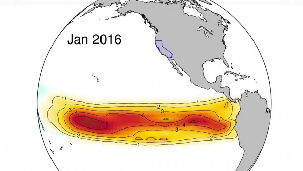 El Nino 2016 forecast 
