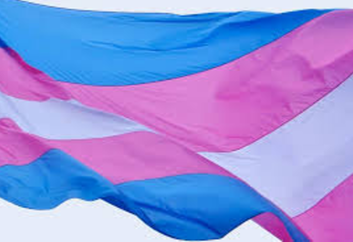 The trans pride flag was designed by Monica Helms, an openly transgender American woman, in August 1999 and exhibited at the 2000 Phoenix LGBT Pride event. 